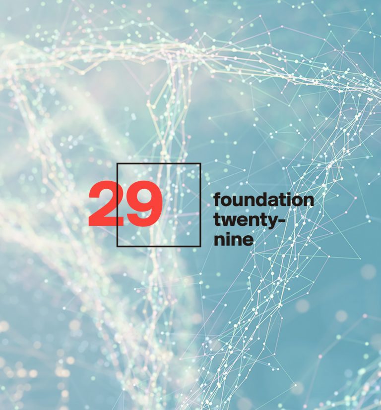 Foundation 29